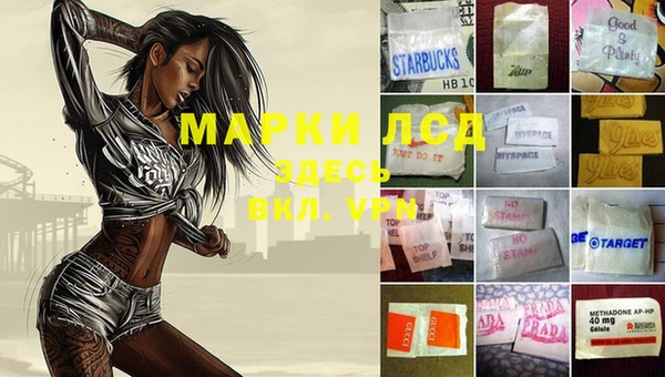 spice Елизово