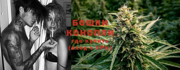 МДПВ Заводоуковск