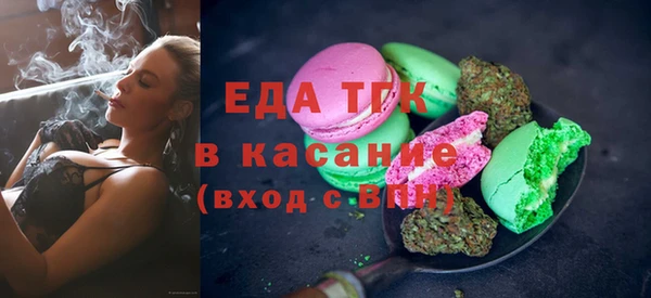 прущие грибы Рославль